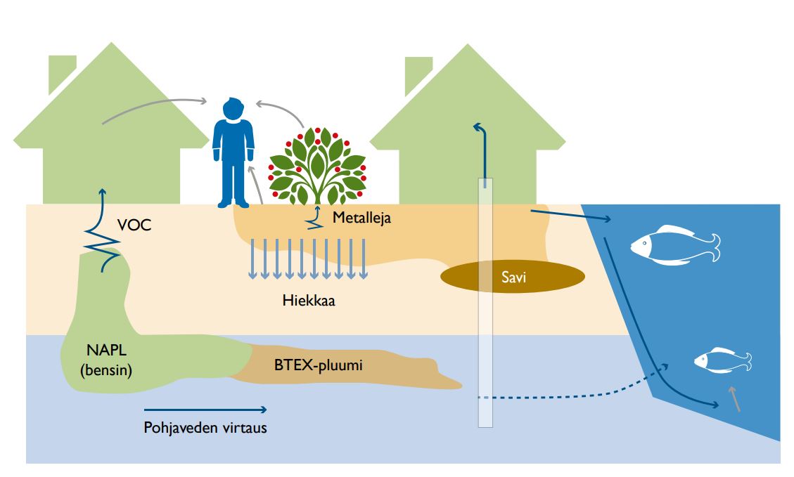 Piirroskuvana tehty käsitteellinen malli, johon on merkitty taloja, ihmisiä, kasveja, vesistöä ja maaperää sekä haitta-aineet, niiden lähteet sekä kulkeutumis- ja altistumisreitit.
