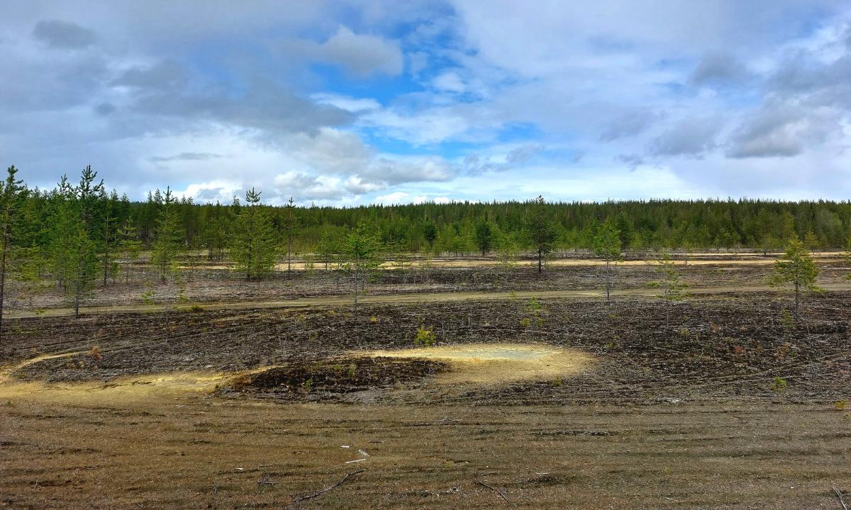 Kuvassa on rikastushiekka-aluetta Kärväsvaaran entisellä kaivosalueella Kemijärvellä.