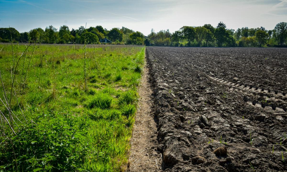 Kuvassa on peltoa ja maata.