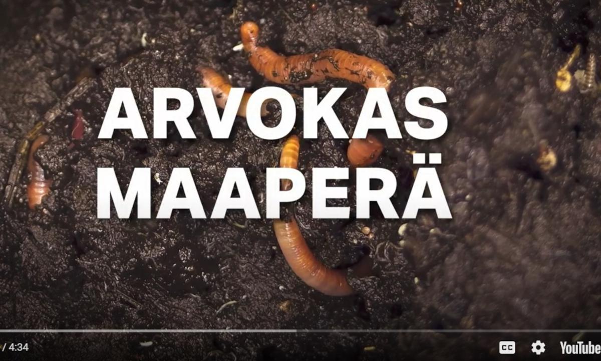 Kuvassa on multaa, jossa on kastematoja ja teksti 