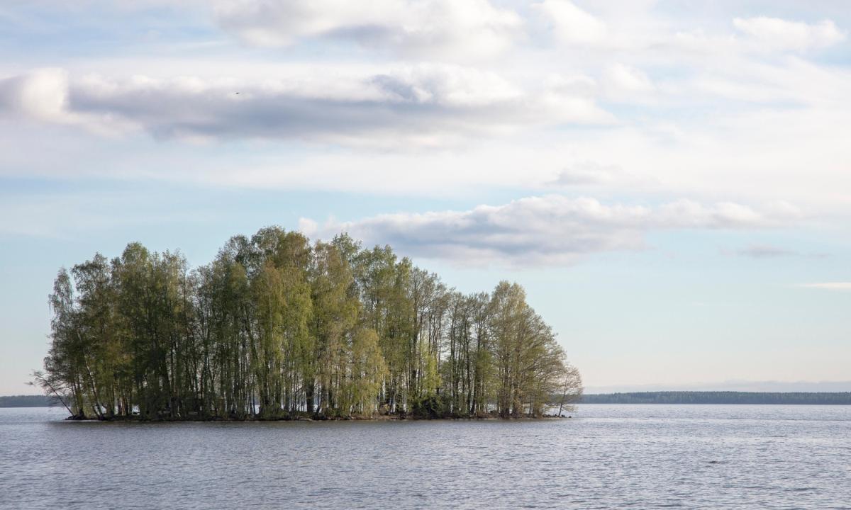 Kuvassa on järvimaisema.